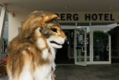 ef15