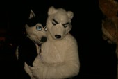ef15
