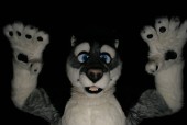 ef15