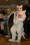 rbw2007