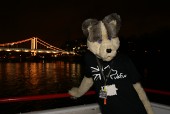 rbw2008