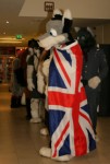 rbw2008
