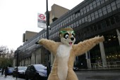 rbw2008